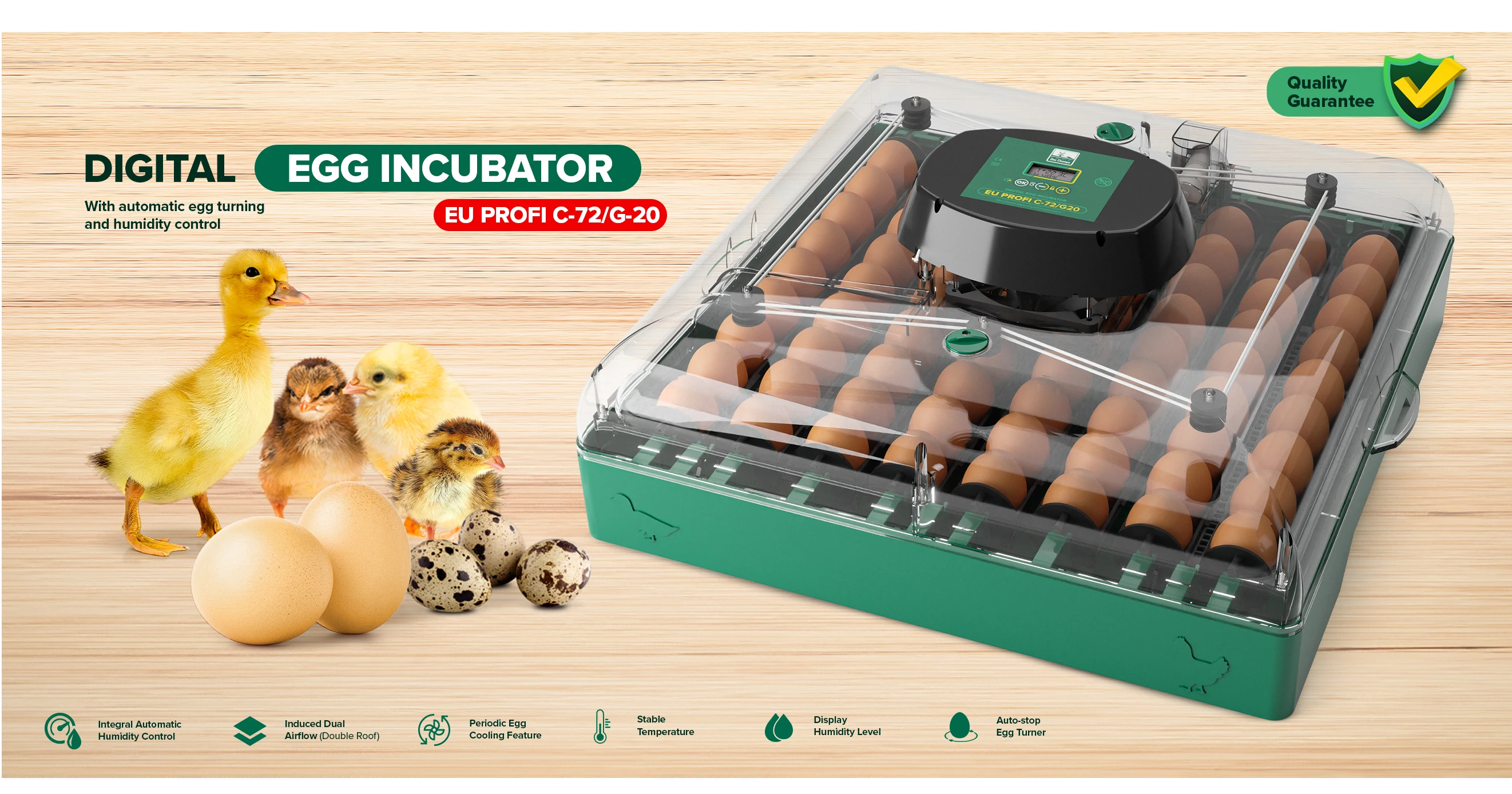 Eggs Capacity and Fan, PROFI, C-72 - detail 2