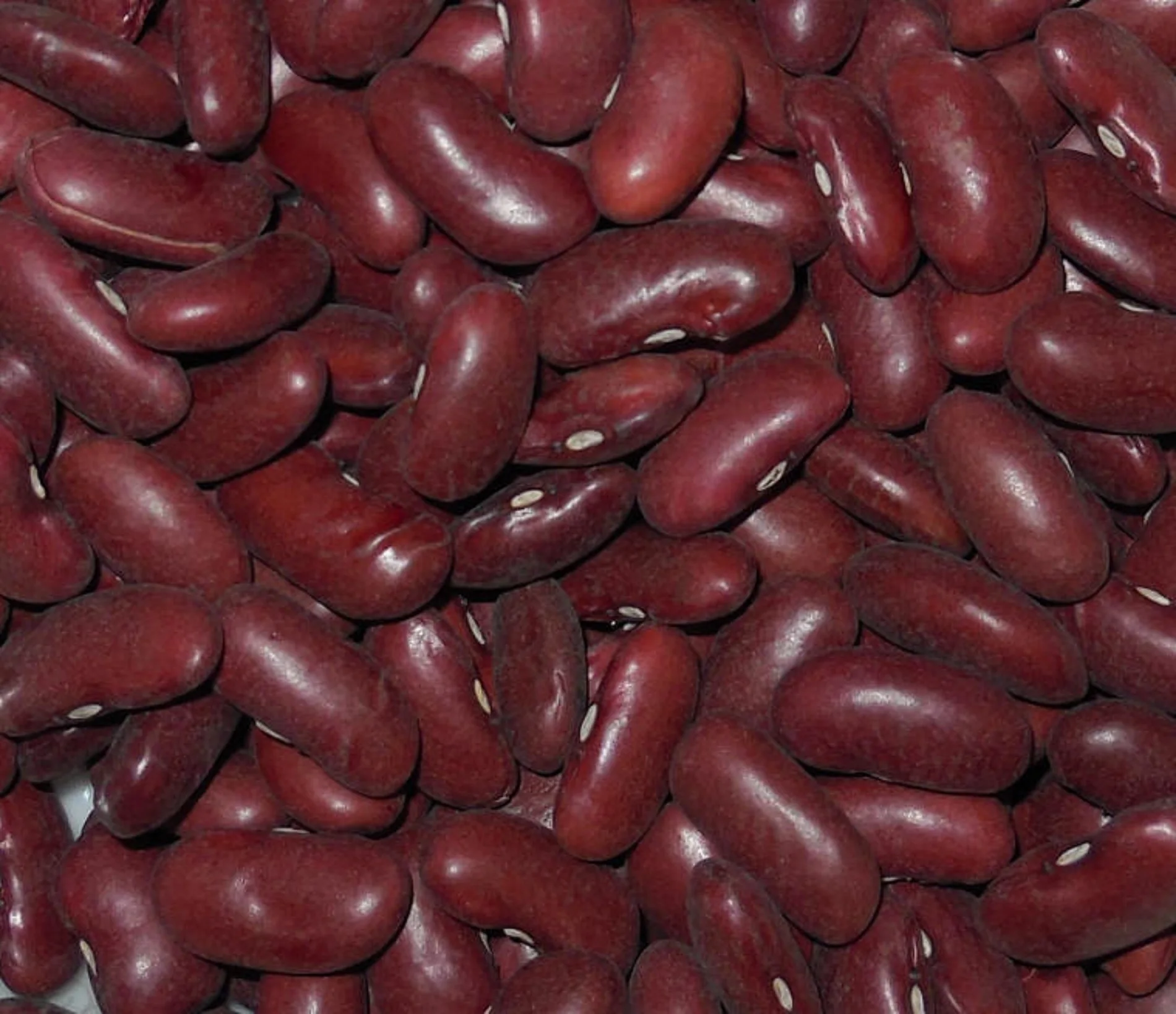 i-beans-kidney-dark-red.jpg