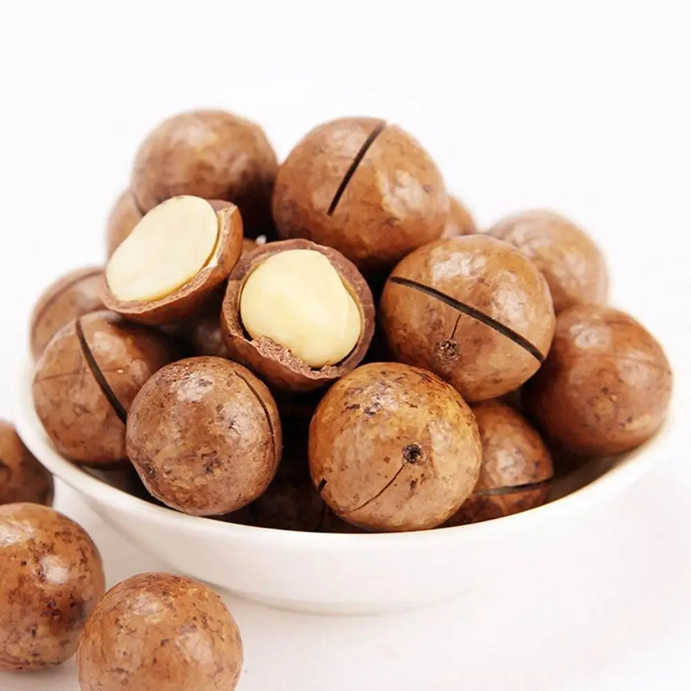 500g Shelled Dried GMO Macadamia Nuts Rich Nutrition Wholesale Prices