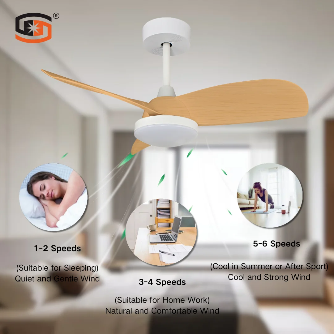 Ceiling Fan, BLDC, SD-CF032 - detail 10