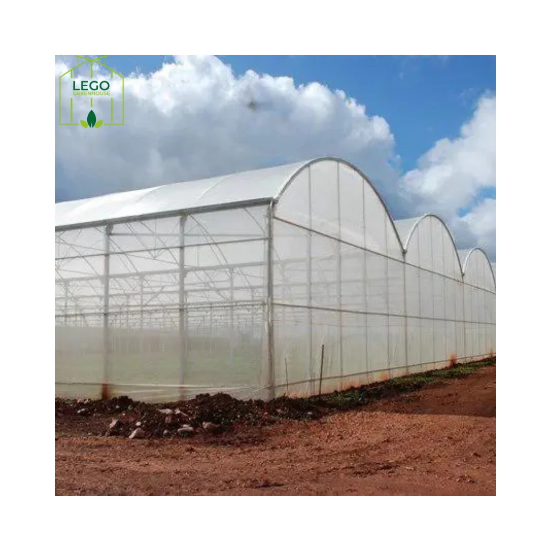 Tunnel Greenhouse Made In Turkey High Quality Factory Price Galvanized