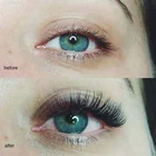 Made Eyelash Private Label Pre Made Easy-fan Bulk Blooming 5d Fan Russion Volume Eyelash Extension