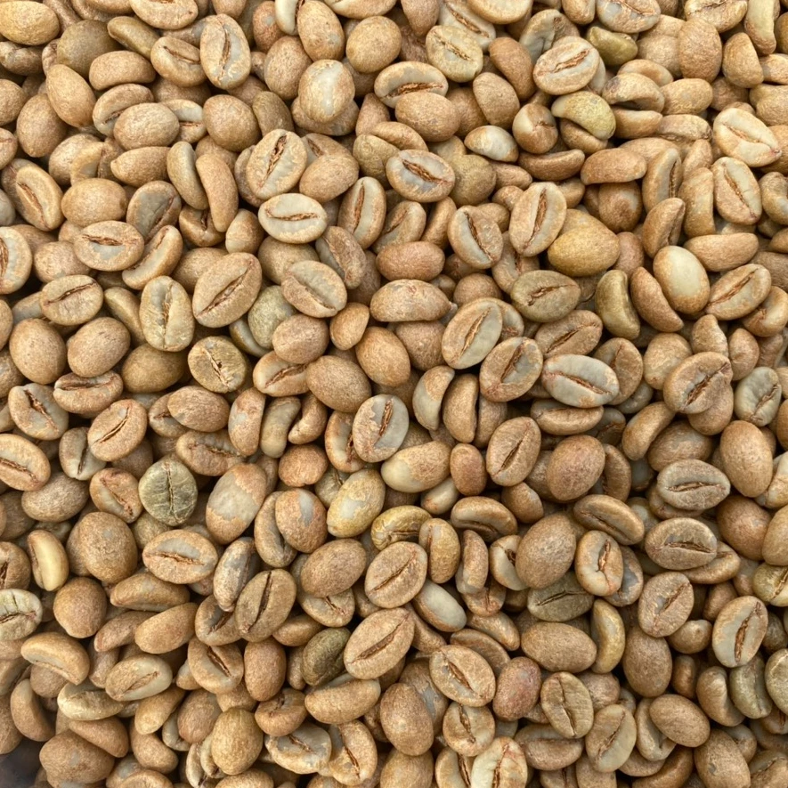 coffee bean distributor near me