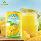 Corn Canned Vegetables Wholesale Pantry Preserved Canned Vegetables Corn In Can Canned Sweet Kernel Corn
