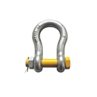 Forged D Factory Directly Sell Drop Forged D Type Shackle With Bolt And Nut Pin