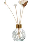 Glass Glassglassglass Stocked Round Shape Aroma Customize Diffuser Glass Bottle 200ML With Lid