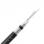 Outdoor Optical Cable Outdoor Duct Direct Buried Gyta53 Loose Tube G652d Fiber Optic Cable Price Per Meter