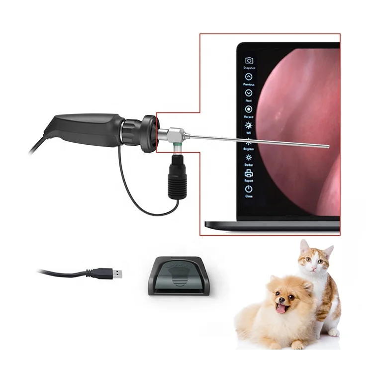 Display Handheld Full Hd Imaging Veterinary Endoscope Camera For