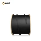 Fiber Optical Fibre Cable Factory Price Indoor 2 Core Fibre Optic Network Ftth Drop Cable G657a Fiber