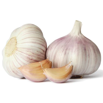 high quality fresh chinese normal white red purple garlic