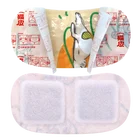 Patch Warm Fashion Winter Adhesive Body Warmer Heat Patch Instant Warm Paste