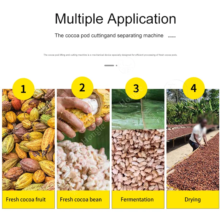 Farm Cocoa Pod Cutter Crusher Machines for Peeling Splitting Breaking Beans Equipment Meat Processing Nuts Fruit Raw Material factory