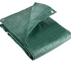 High Quality Customized Size Wholesale PE Tarpaulin