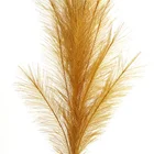 Flower Custom 120cm Colorful Dried Reed Pampas Grass Flower For Home Decor