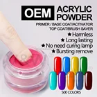 Acrylics Nails Powder Colors Nail Salon No Lamp Needed 500 Colors Nail Art Set Acrylic Jar 1g Powder Wholesale