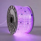 Led Led Factory Direct Sales Of High Quality 12W/ Meter RGB LED 2835 SMD 12mm Flexible Eyecare Conductorless LED Strip