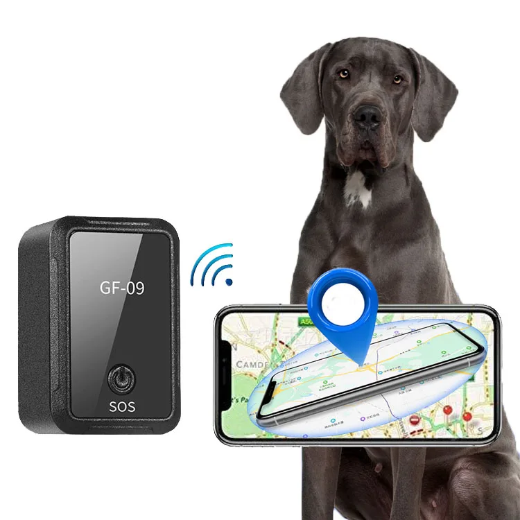 Cheap Mini Far Distance Pet Gps Tracking Chip For Dogs Chargeable Sim Gf09 Dog Gps Tracker - Buy Sim Gf09 Dog Gps Tracker,Far Distance Gps Tracking For Dogs,Cheap Mini