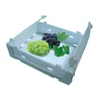 Foldable Plastic Crate Customized Foldable Plastic Vegetable Crates
