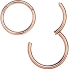 Piercing Jewelry 316L Surgical Steel Hinged Body Piercing Jewelry Earrings Hoop And Nose Rings Hoop