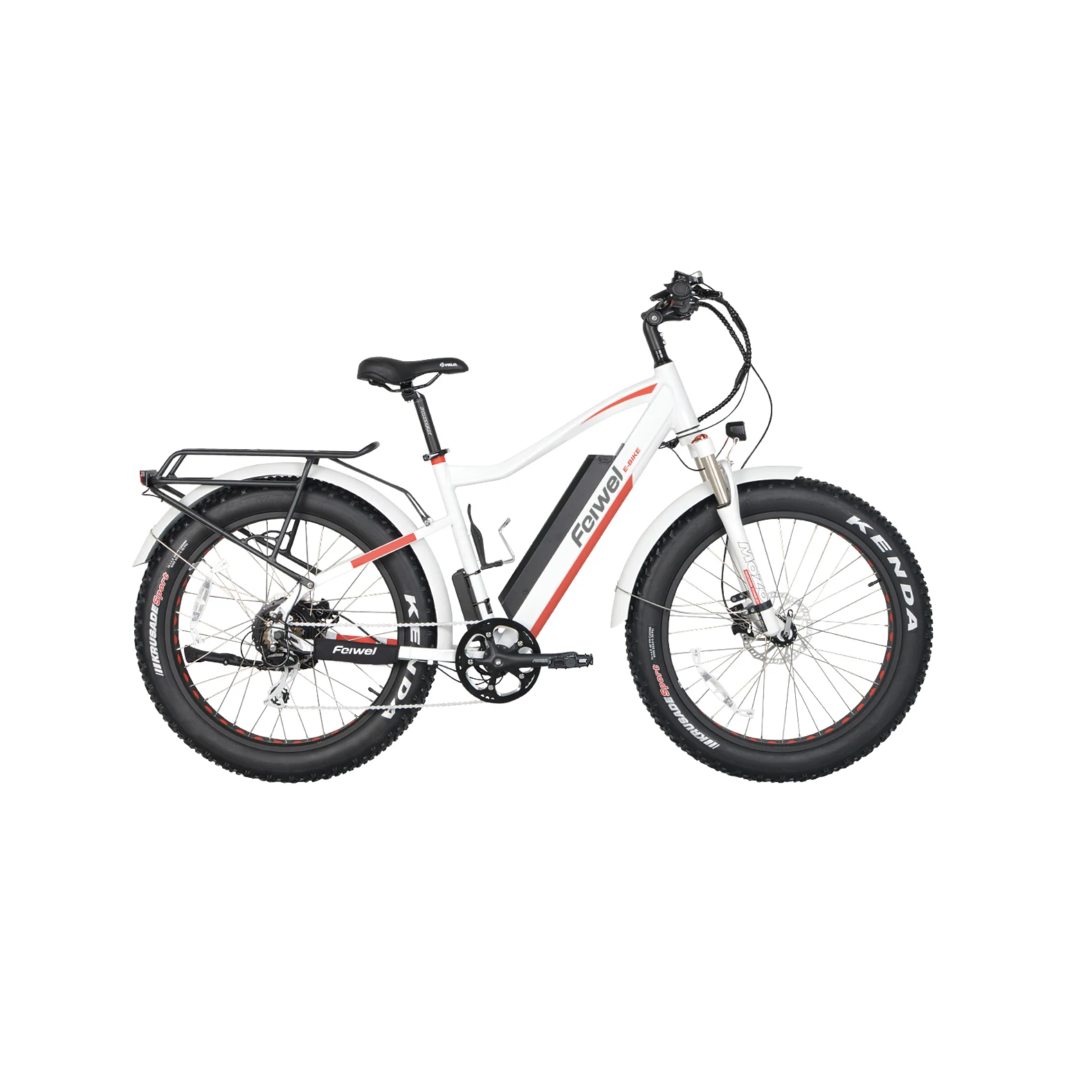 Fat Tire Electric Bike 1000w/big Power 
