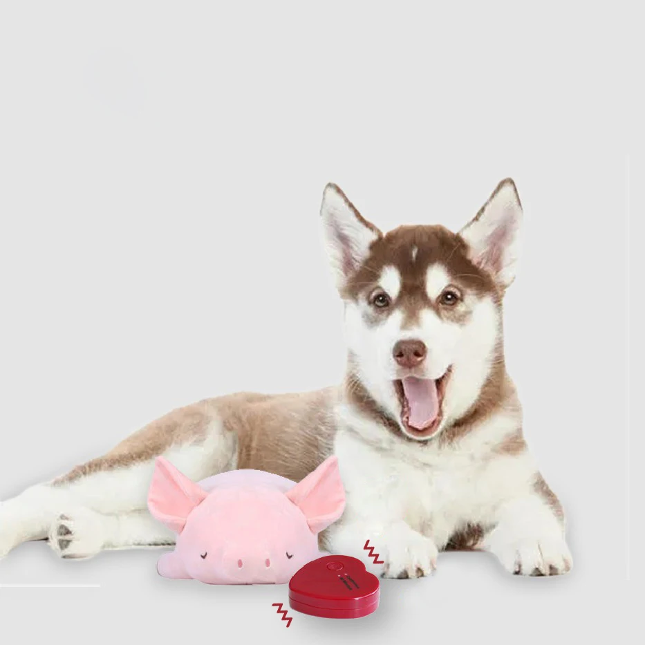 stuffed animal with heartbeat sound for puppies