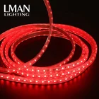 Rgb Led Led Led Rgb Strip Addressable Outdoor Waterproof IP65 SMD5050 RGB Dream Colour AC 110V 220V Rgb Led Strip