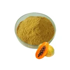 Enzyme Natural Papaya Extract Powder 95% Papain Enzyme