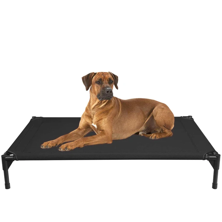portable elevated dog bed