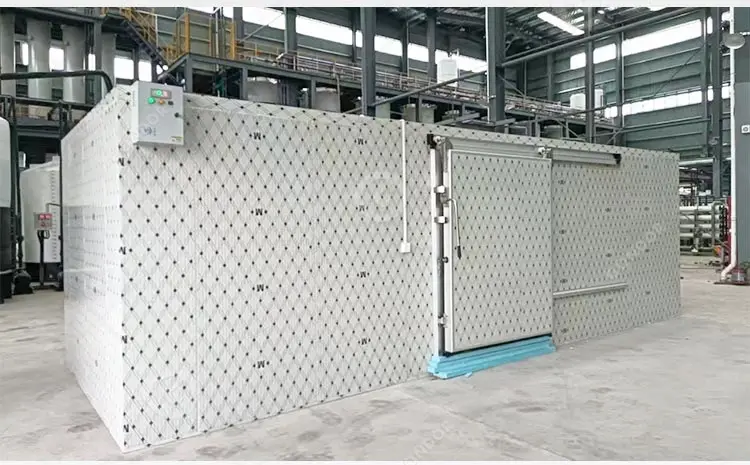 Freezer, 20ft, 220 V - detail 8
