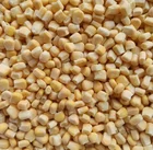 Corn Export IQF Frozen Sweet Corn Export Sweet Corn With Good Price