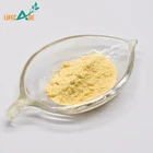 Banana Competitive Price Food Additive Dried Banana Powder In Stock