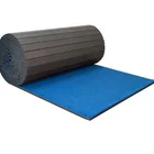 Wrestling Bjj Mats Roll Mats Jiu Jitsu Tatami Mats Used Wrestling Flexible Judo Bjj Gi Rolling Out Mats