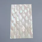 Shell New Zealand Natural Soft Bendable Abalone Shell Sheet For DIY Accessories Decoration Materials