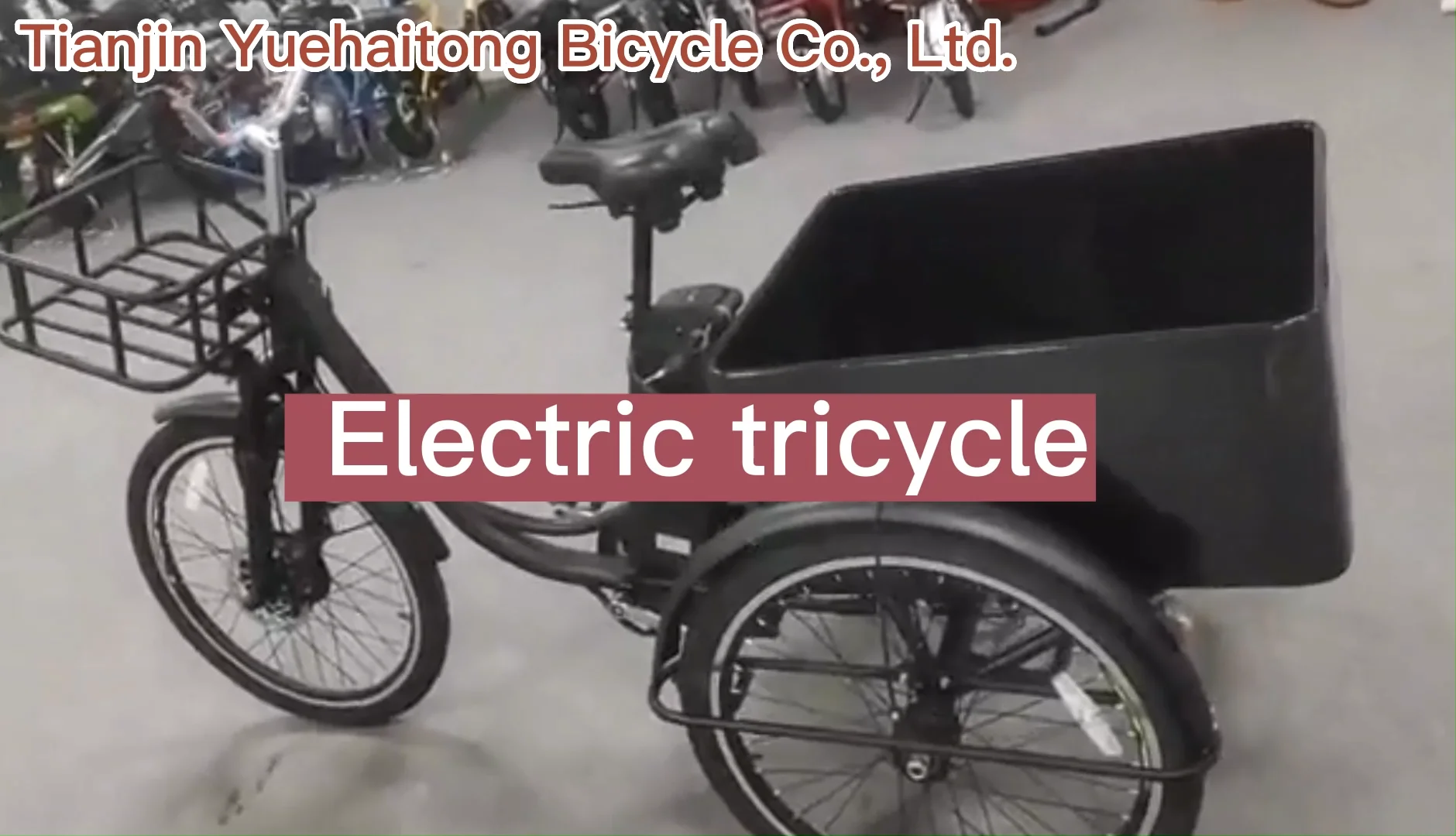 Professional Electric Motorized Tricycles Adult Tricycle Electric Bike