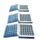 Egg Tray Mold Plastic Injection Mould Oem Odm Precision Plastic Injection Egg Tray Mold