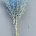 Dry Grass 2020 Yunnan Best Selling Dry Flower Bouquet Preserved Blue Feather Grass