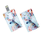 16gb Card Usb Usb 2.0 Hot Sell 8GB 16GB 32GB 64GB 128GB Custom Card USB FlashDrive Smart Card