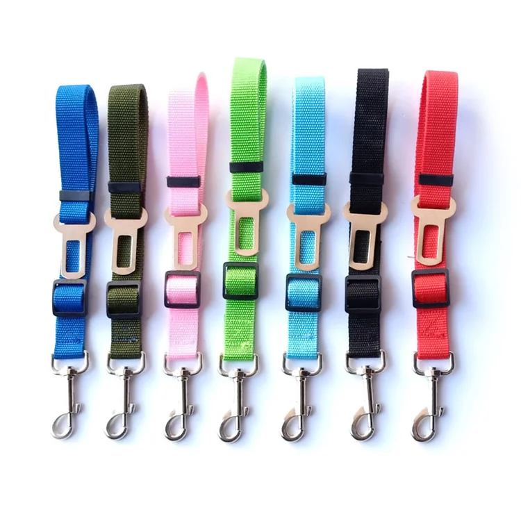 dog leash PCL0221.jpg