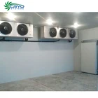 wholesale pearl oyster commercial cold room prices cold storage guide cold storage pack