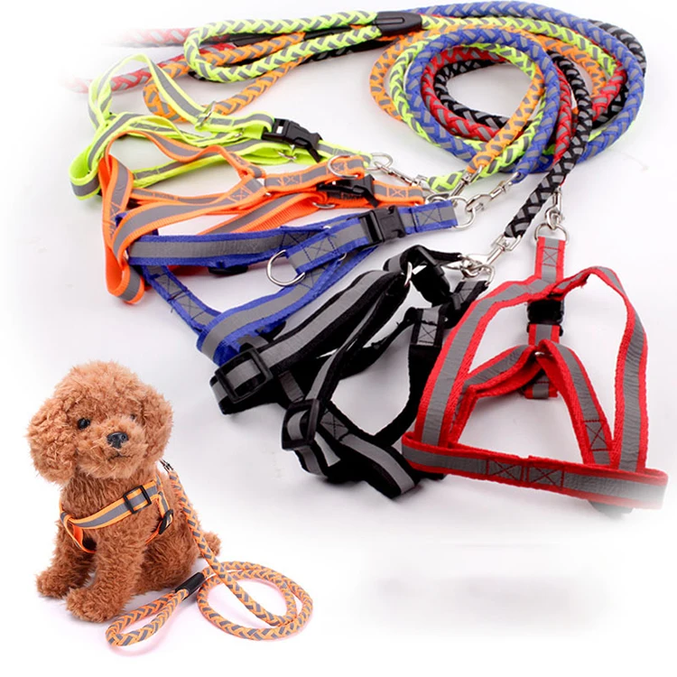 no pull dog head collar