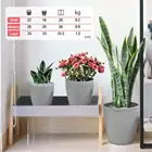 Small Small Planter Grey Sandstone Round Small Middle Large Outdoor Flower Pots Planters Set