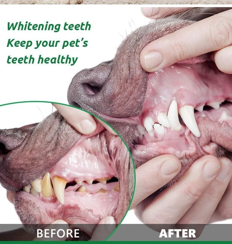 New Pet Dental Powder for Cats and Dogs to Remove Bad Breath Pet Oral Care Dry Cleaning Powder Pet Products manufacture
