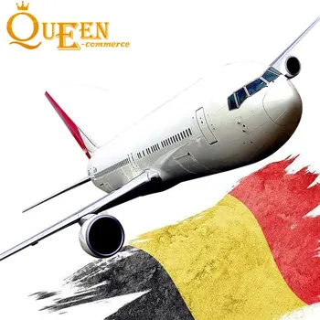 DDP air Logistic Included Clearance to Belgium DDU Ocean Transport FCL LCL Shipment by UPS DHL Fedex TNT Door to Door Logistic