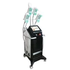 Fat Loss Yting Cryolipolisis 360 Fat Loss Body Slimming Body Shape Fat Freezing Cryo 360 Machine