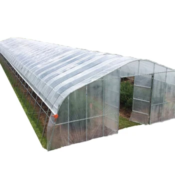 8x30m Agriculture Tomato Greenhouse Frames Plastic Film Single Span Tunnel Greenhouses