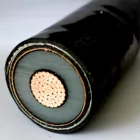 Armoured Cable Cable Wholesale Factory Price Flame Retardant Cross-linked Copper Core Armoured Cable