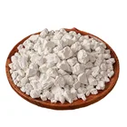 100% Quality Natural Kudzu Root Extract Puerarin Powder