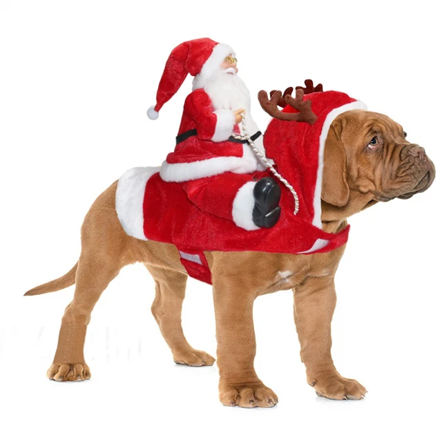 dog christmas costume large