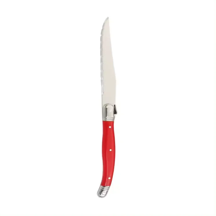 High Quality Stainless Steel ABS Kitchen Knife Steak Knife Set with Multicolor Handle