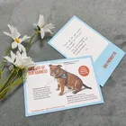 Wedding New Arrivals Custom Logo Wedding Business Thank You Cards With Envelopes